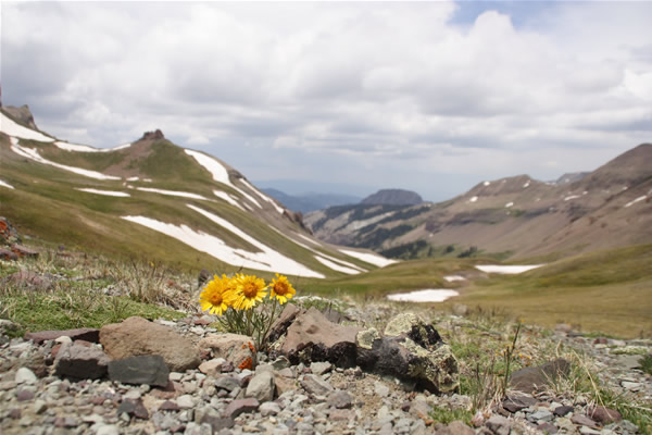 slideshow image